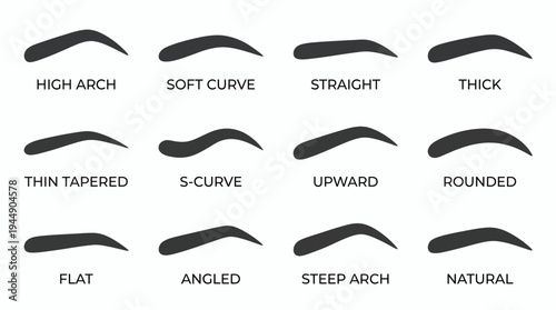 Set of twelve eyebrow shape silhouettes with text labels for brow styling on white background, concept for professional makeup artist guide, beauty salon services and cosmetic education