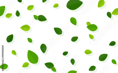 シンプルな葉っぱの透過背景_横