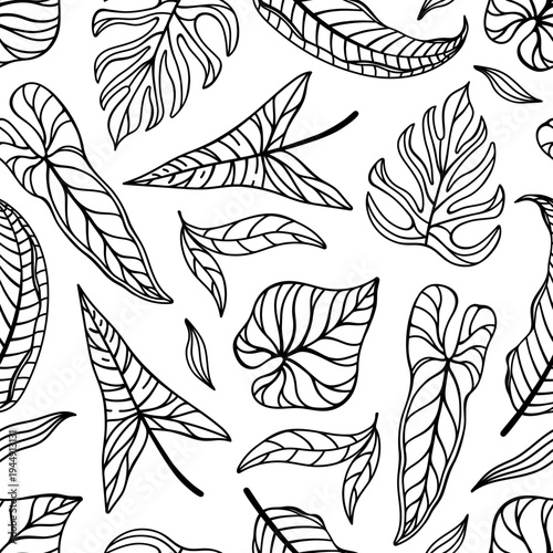 Tropical leaves seamless vector pattern. Monstera, anthurium, banana tree, liana. Hand drawn black and white ornament, botanical sketch. Floral background, wild jungle plants. For wallpaper, fabric