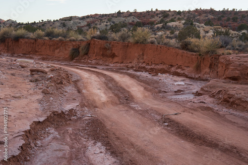 Deeply rutted muddy dirt road winds through an eroded red desert gully wash area with sparse shrubs and distant rocky hills under a soft overcast sky.