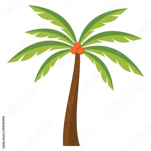 Tropical Coconuts Palm Tree