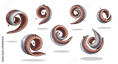 Set of Rolled Anchovy Fillets Isolated on White Background