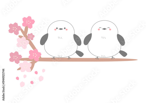 二羽のシマエナガが桜の木の枝にとまっているイラスト_挿絵_可愛い