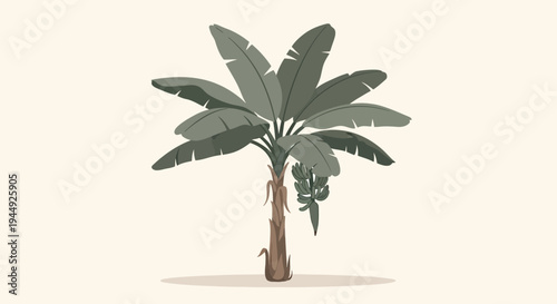 Palm tree with green leaves standing 2.
