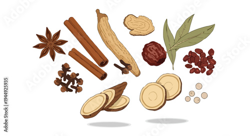 Hand Drawn Illustration of Traditional Chinese Medicine Herbs and Spices