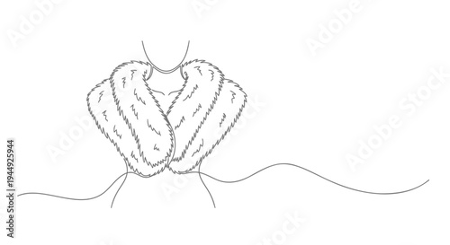 Vector illustration of conjoined seashells