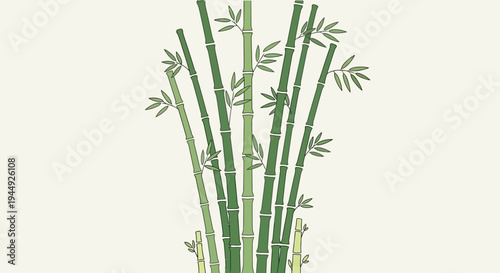 Bamboo plant with green stems.