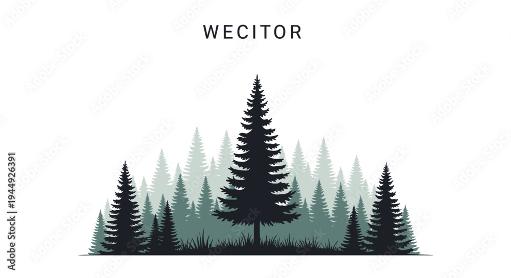 Fototapeta premium Black Pine Trees Forest Landscape Silhouette.