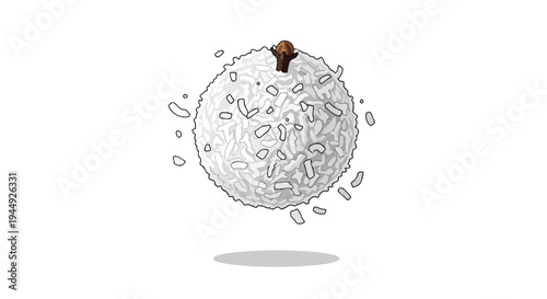Single Coconut Snowball Truffle with Clove Topping