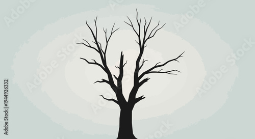 Bare Tree Silhouette Against Moonlight.