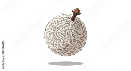 Single Coconut Truffle with Clove Topping Isolated on White