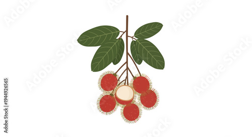 Cluster of red cherries on branch.