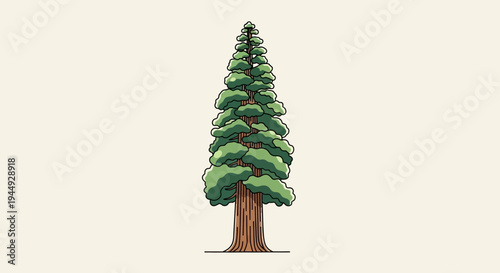 Large Evergreen Tree With Green Leaves.