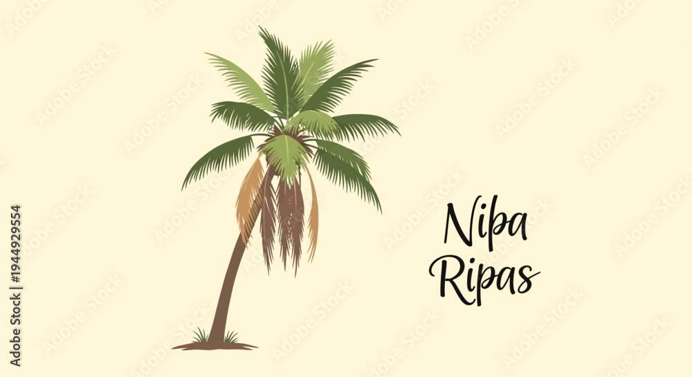 Obraz premium Nipa palm tree with brown seed.