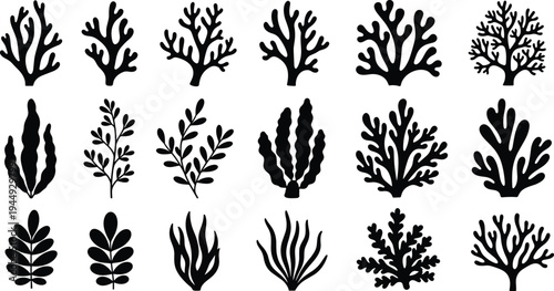 Collection of Coral and Seaweed Silhouette Vectors Featuring Underwater Marine Plants Ocean Reef Algae and Sea Kelp for Coastal Summer Nature and Aquarium Design