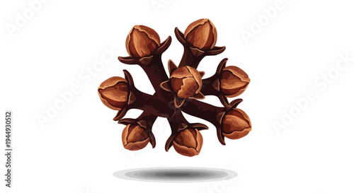 Illustration of Dried Clove Spice Buds Isolated on White Background