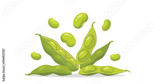 Fresh Edamame Soybeans Pods and Seeds Illustration