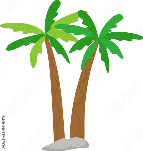 Tropical Palm Tree