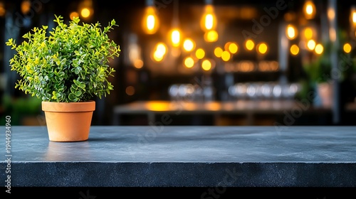 Potted Plant on Modern Countertop with Artistic Bokeh Background in an Indoor Space