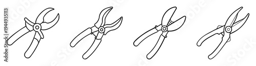 Line art drawing depicting four different styles of garden pruning shears