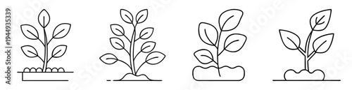 Four variations of black and white sprout plant in soil illustrations