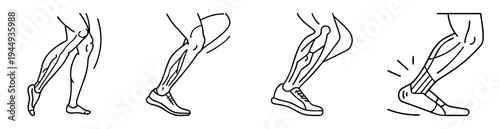 Illustration of running legs showing muscle action, foot strike, and tendon stretch