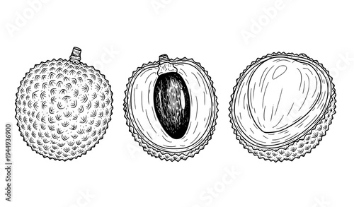 Hand drawn lychee fruit sketch set with whole peeled and sliced tropical fruit vector illustration