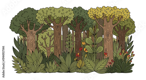 Trees and plants in a forest.