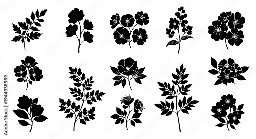 Fototapeta premium Hand-Drawn Peony and Lily Flower Sketch Set