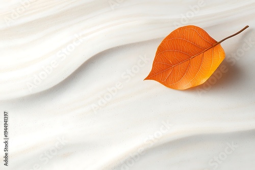 Delicate Autumn Leaf on Smooth White Surface with Gentle Curves and Natural Light