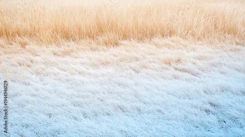 Beautiful Winter Landscape with Frosted Grass Field in Soft Natural Light at Dawn