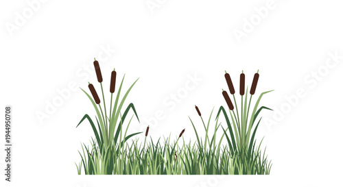 Two clusters of brown cattails with long green stalks and a dense bed of green grass are depicted in a clean, flat illustration on a white background.