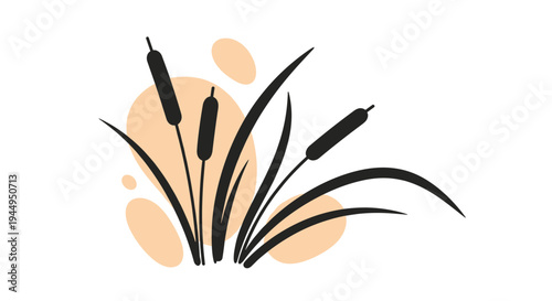 A minimalist illustration shows three dark cattail silhouettes with slender leaves emerging from an organic orange shape on a white background.