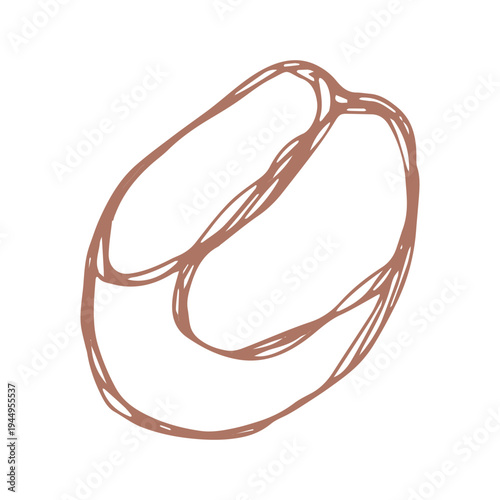 Hand drawn fresh roasted coffee bean Arabica robusta seed doodle Single element for print, web, design, decor