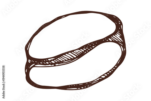 Hand drawn fresh roasted coffee bean Arabica robusta seed doodle Single element for print, web, design, decor