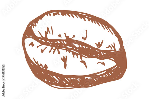 Hand drawn fresh roasted coffee bean Arabica robusta seed doodle Single element for print, web, design, decor