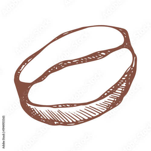 Hand drawn fresh roasted coffee bean Arabica robusta seed doodle Single element for print, web, design, decor