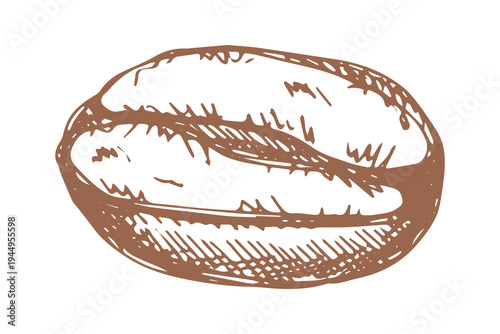 Hand drawn fresh roasted coffee bean Arabica robusta seed doodle Single element for print, web, design, decor