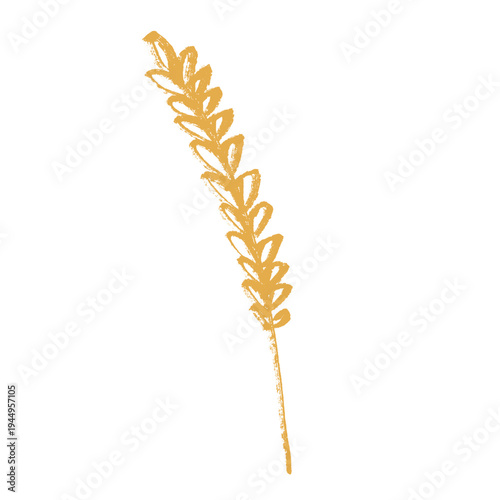 Hand drawn cereal wheat oat rye barley rice ears spikelet clipart Organic wheat bread agriculture farming harvest healthy food Single element for print packaging label design decor