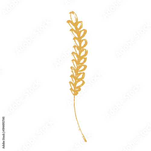 Hand drawn cereal wheat oat rye barley rice ears spikelet clipart Organic wheat bread agriculture farming harvest healthy food Single element for print packaging label design decor