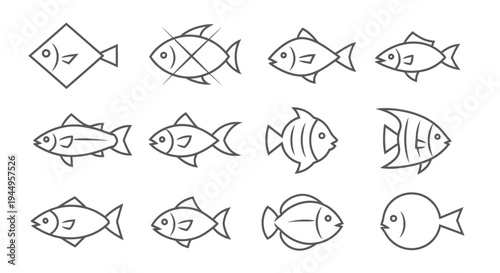 A sequence of simple outlined fish illustrations in various poses and orientations.