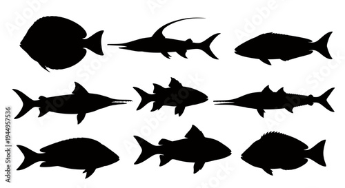 Collection of Various Silhouetted Fishes in Water for Oceanic Silhouette Study.