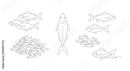Group of small fish swimming together in a simple line art illustration.