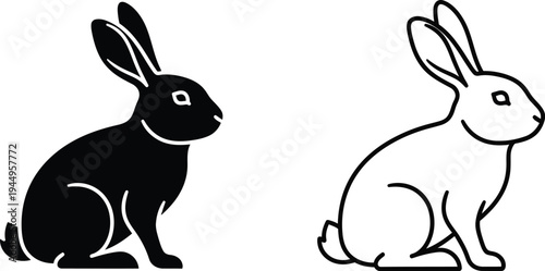 Black and white rabbits sitting side by side Vector