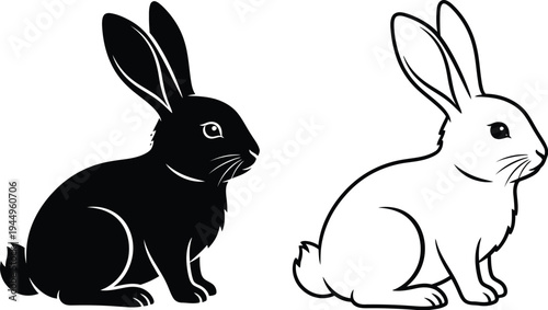 Black and white rabbits sitting side by side Vector