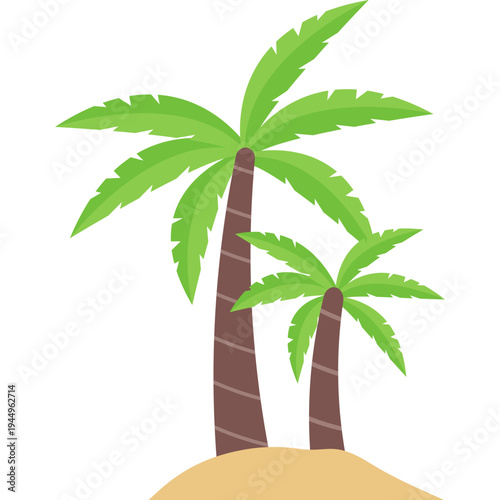 Tropical Date Palm Tree