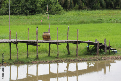 A rustic wooden bridge beside a rice field and canal, reflecting peaceful countryside scenery and traditional rural local life surrounded by green natural farmland.