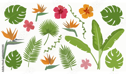 Exotic tropical leaves and flowers vector collection with hibiscus monstera and jungle botanical elements