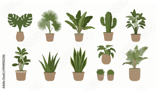 Tropical houseplant collection vector set with monstera palm cactus and potted indoor plants isolated on white background