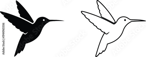Hummingbirds in flight black and white illustration Vector